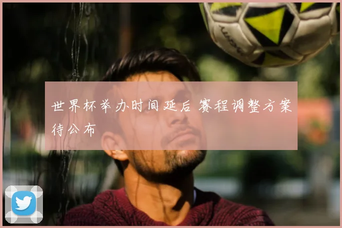 世界杯举办时间延后 赛程调整方案待公布